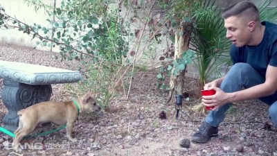 Naughty Manipulation: Tricked into Hardcore Play by Dognapper
