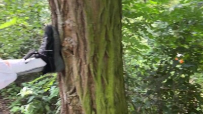 Public Pleasures: Park Sex during Couples Therapy