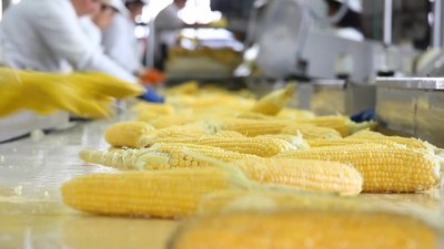 Naughty Taboo Fuck Ends with Cum Down Brunette's Throat